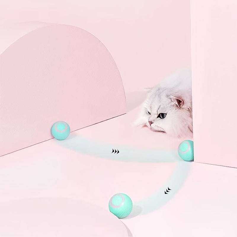 Frenzy Paws Smart Interactive Cat Toy