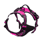 Adjustable No-Pull Dog Harness with Padded Vest and Dual Leash Clips