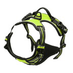 Adjustable No-Pull Dog Harness with Padded Vest and Dual Leash Clips