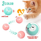 Frenzy Paws Smart Interactive Cat Toy