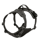 Adjustable No-Pull Dog Harness with Padded Vest and Dual Leash Clips