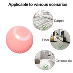 Frenzy Paws Smart Interactive Cat Toy