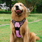 Adjustable No-Pull Dog Harness with Padded Vest and Dual Leash Clips