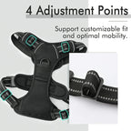 Adjustable No-Pull Dog Harness with Padded Vest and Dual Leash Clips