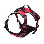 Adjustable No-Pull Dog Harness with Padded Vest and Dual Leash Clips