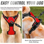 Adjustable No-Pull Dog Harness with Padded Vest and Dual Leash Clips
