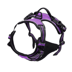 Adjustable No-Pull Dog Harness with Padded Vest and Dual Leash Clips