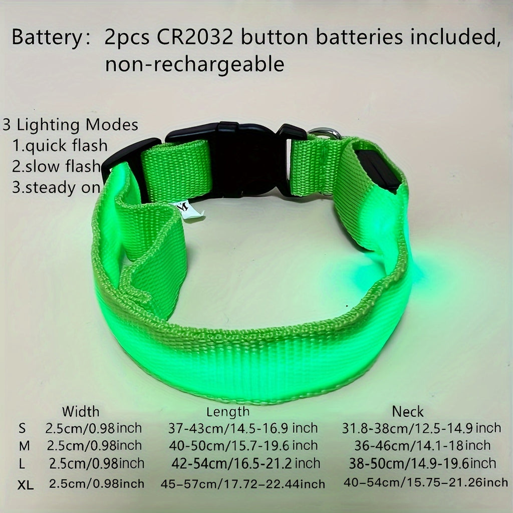 Light Up The Night with a LED Dog & Collar