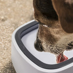 Anti Splash Pet Floating Water Bowl
