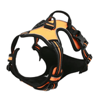 Adjustable No-Pull Dog Harness with Padded Vest and Dual Leash Clips