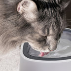 Anti Splash Pet Floating Water Bowl