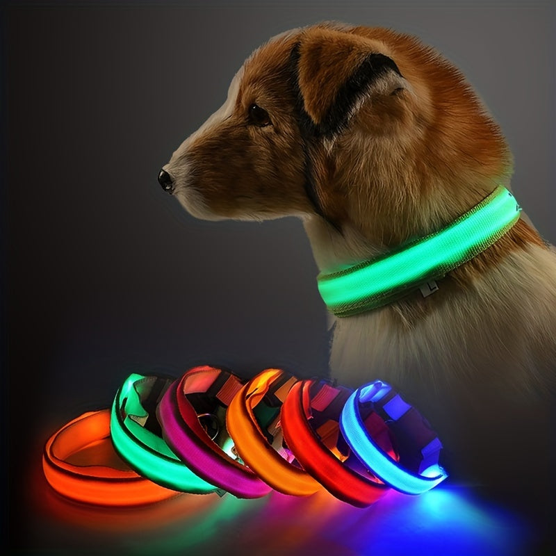 Light Up The Night with a LED Dog & Collar