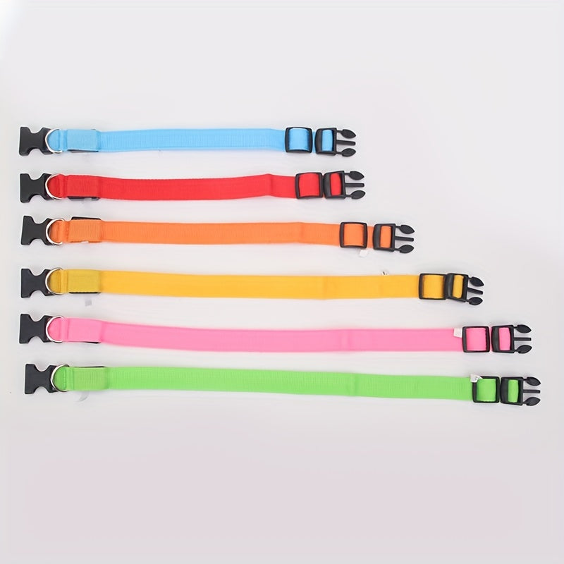 Light Up The Night with a LED Dog & Collar